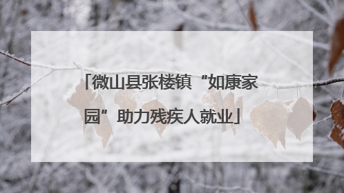 微山县张楼镇“如康家园”助力残疾人就业