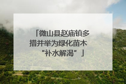 微山县赵庙镇多措并举为绿化苗木“补水解渴”