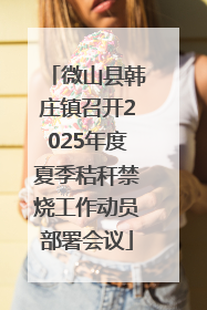 微山县韩庄镇召开2025年度夏季秸秆禁烧工作动员部署会议