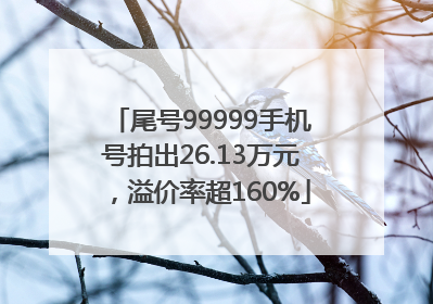尾号99999手机号拍出26.13万元，溢价率超160%