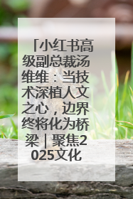 小红书高级副总裁汤维维：当技术深植人文之心，边界终将化为桥梁｜聚焦2025文化强国建设高峰论坛