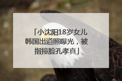 小沈阳18岁女儿韩国出道照曝光，被指撞脸孔孝真