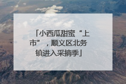 小西瓜甜蜜“上市”，顺义区北务镇进入采摘季