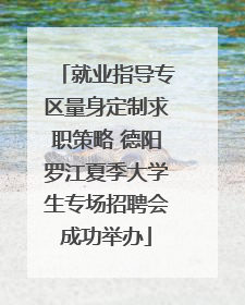 就业指导专区量身定制求职策略 德阳罗江夏季大学生专场招聘会成功举办