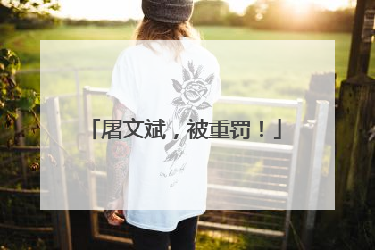 屠文斌，被重罚！