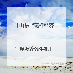 山东“花样经济”焕发蓬勃生机