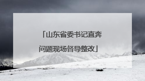 山东省委书记直奔问题现场督导整改