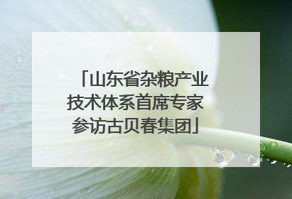 山东省杂粮产业技术体系首席专家参访古贝春集团