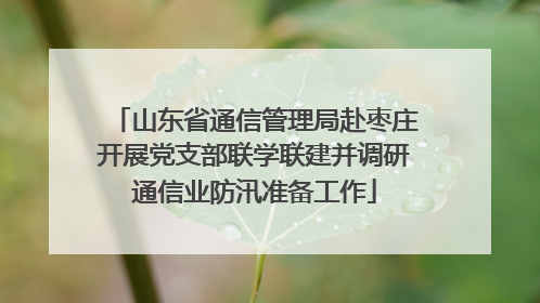 山东省通信管理局赴枣庄开展党支部联学联建并调研通信业防汛准备工作