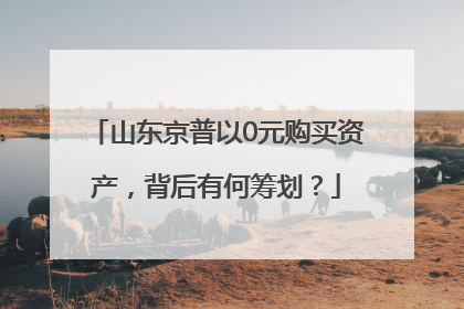 山东京普以0元购买资产，背后有何筹划？