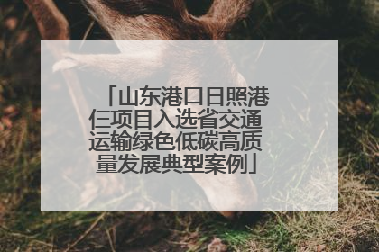 山东港口日照港仨项目入选省交通运输绿色低碳高质量发展典型案例