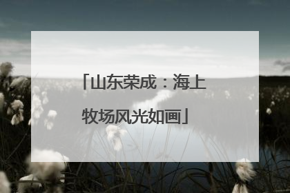 山东荣成：海上牧场风光如画