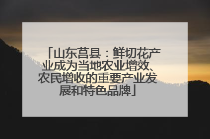 山东莒县：鲜切花产业成为当地农业增效、农民增收的重要产业发展和特色品牌