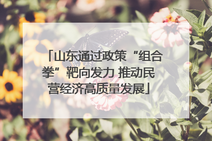 山东通过政策“组合拳”靶向发力 推动民营经济高质量发展