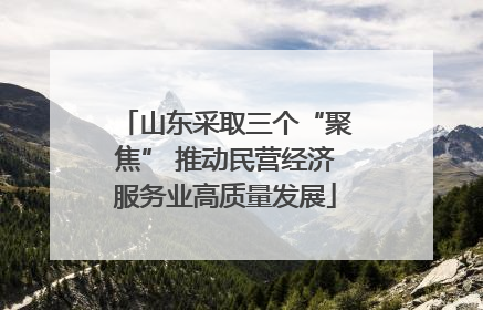 山东采取三个“聚焦” 推动民营经济服务业高质量发展
