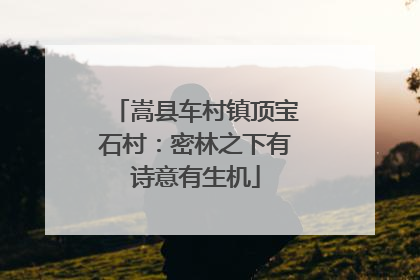 嵩县车村镇顶宝石村：密林之下有诗意有生机