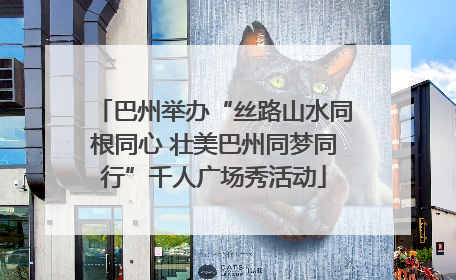 巴州举办“丝路山水同根同心 壮美巴州同梦同行”千人广场秀活动