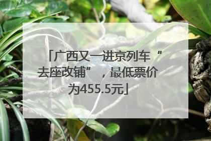 广西又一进京列车“去座改铺”，最低票价为455.5元
