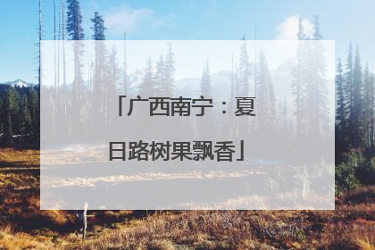 广西南宁：夏日路树果飘香