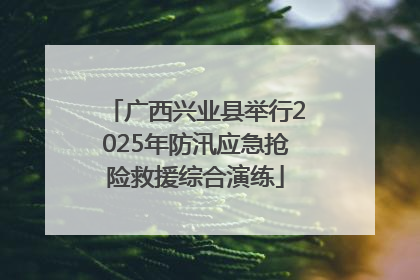 广西兴业县举行2025年防汛应急抢险救援综合演练