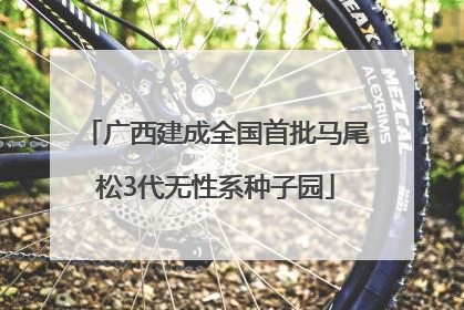 广西建成全国首批马尾松3代无性系种子园