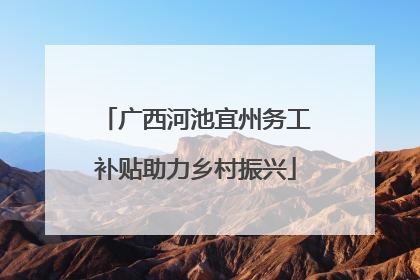 广西河池宜州务工补贴助力乡村振兴