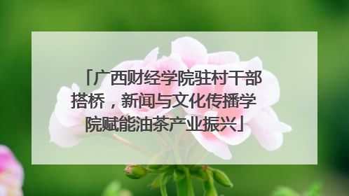 广西财经学院驻村干部搭桥，新闻与文化传播学院赋能油茶产业振兴