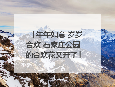 年年如意 岁岁合欢 石家庄公园的合欢花又开了