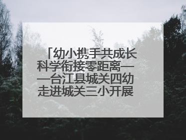 幼小携手共成长科学衔接零距离——台江县城关四幼走进城关三小开展幼小衔接活动