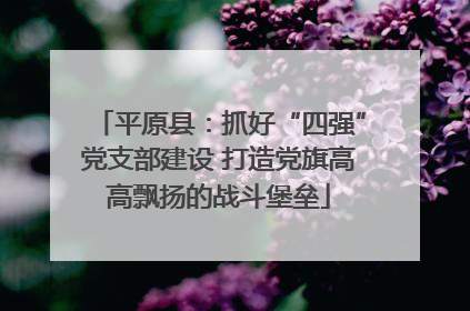 平原县：抓好“四强”党支部建设 打造党旗高高飘扬的战斗堡垒