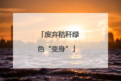 废弃秸秆绿色“变身”
