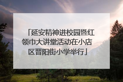 延安精神进校园暨红领巾大讲堂活动在小店区晋阳街小学举行