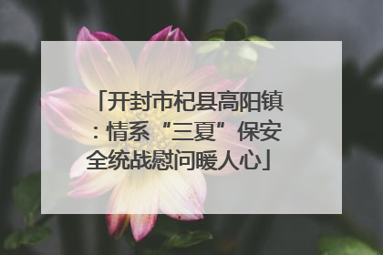 开封市杞县高阳镇：情系“三夏”保安全统战慰问暖人心