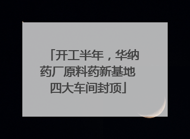开工半年，华纳药厂原料药新基地四大车间封顶