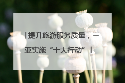 提升旅游服务质量，三亚实施“十大行动”
