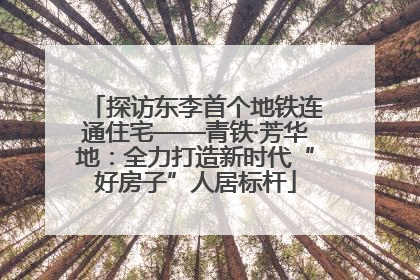 探访东李首个地铁连通住宅——青铁·芳华地：全力打造新时代“好房子”人居标杆