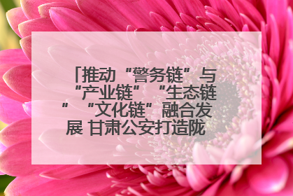推动“警务链”与“产业链”“生态链”“文化链”融合发展 甘肃公安打造陇原旅游警务品牌
