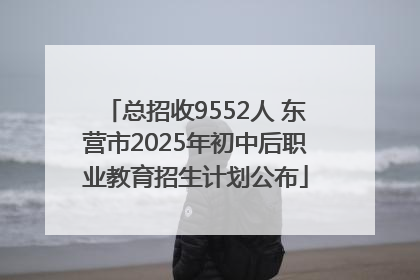 总招收9552人 东营市2025年初中后职业教育招生计划公布