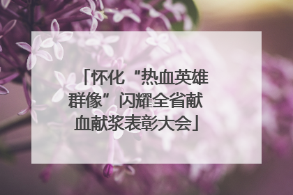 怀化“热血英雄群像”闪耀全省献血献浆表彰大会