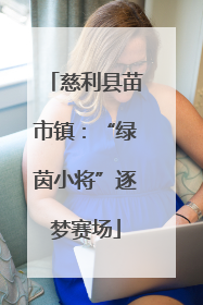 慈利县苗市镇：“绿茵小将”逐梦赛场