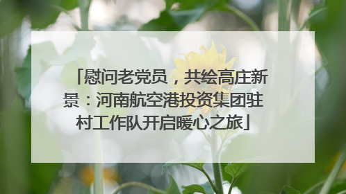 慰问老党员，共绘高庄新景：河南航空港投资集团驻村工作队开启暖心之旅