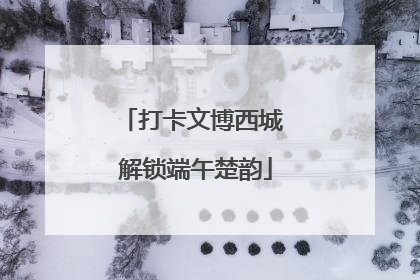 打卡文博西城 解锁端午楚韵