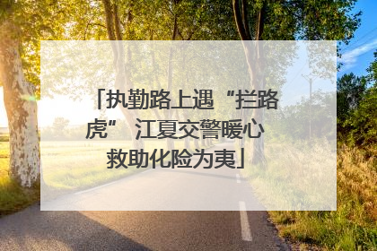 执勤路上遇“拦路虎” 江夏交警暖心救助化险为夷