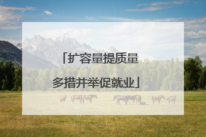扩容量提质量 多措并举促就业