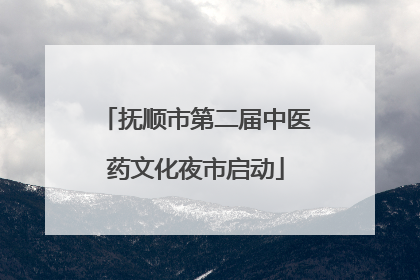 抚顺市第二届中医药文化夜市启动