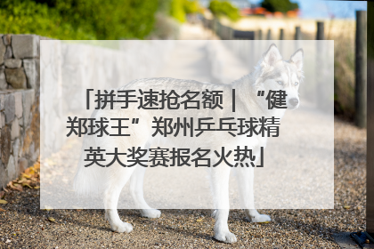 拼手速抢名额｜“健郑球王”郑州乒乓球精英大奖赛报名火热
