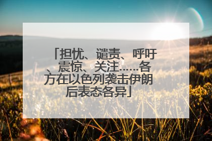 担忧、谴责、呼吁、震惊、关注……各方在以色列袭击伊朗后表态各异