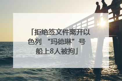 拒绝签文件离开以色列 “玛德琳”号船上8人被拘