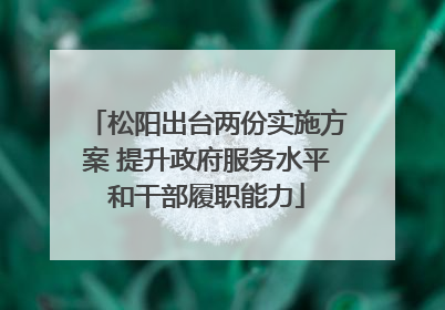 松阳出台两份实施方案 提升政府服务水平和干部履职能力