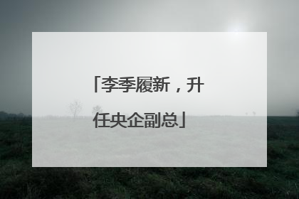 李季履新，升任央企副总